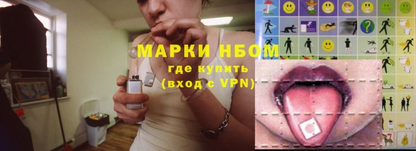 СК Богородск