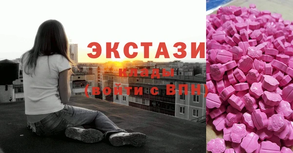 СК Богородск