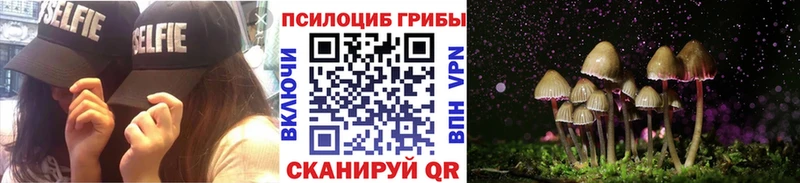 Псилоцибиновые грибы GOLDEN TEACHER  Купить где  Белая Холуница 
